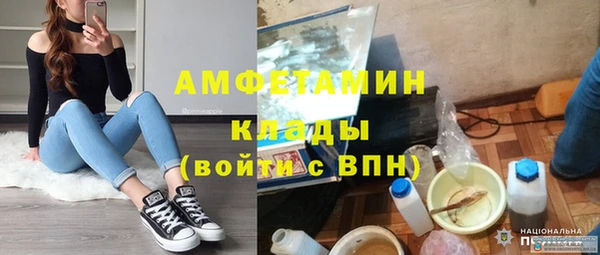прущие грибы Богородск