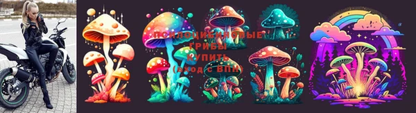соль курить ск Богданович