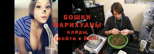 прущие грибы Богородск