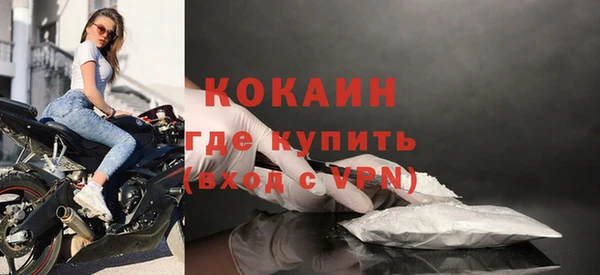 прущие грибы Богородск