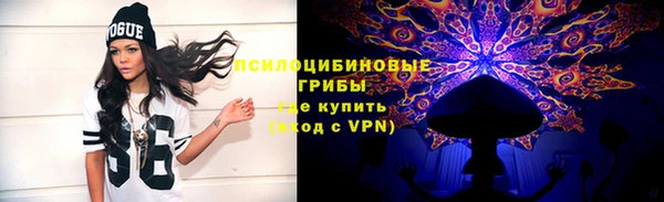 прущие грибы Богородск