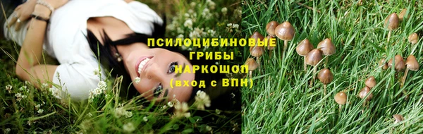 героин Бородино