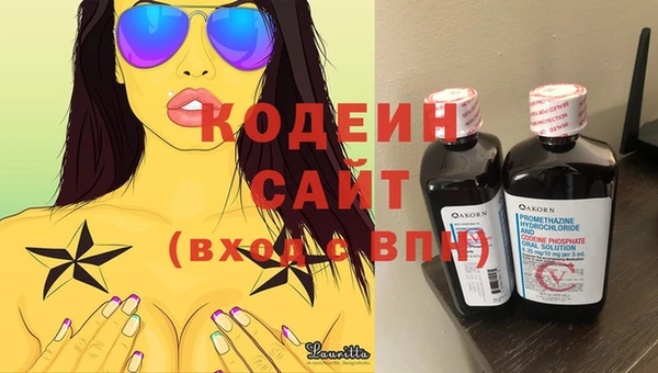прущие грибы Богородск