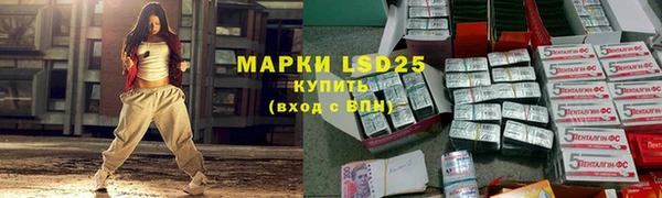 прущие грибы Богородск